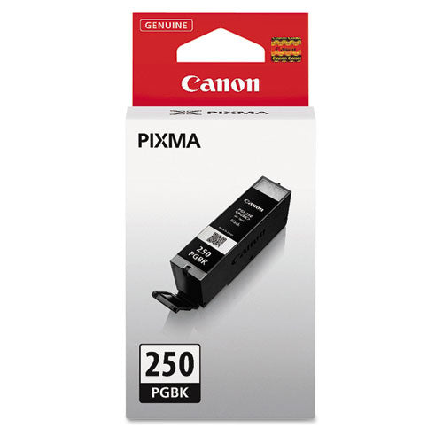 6497B001 (PGI-250) ChromaLife100+ Ink, 300 Page-Yield, Black-(CNM6497B001)